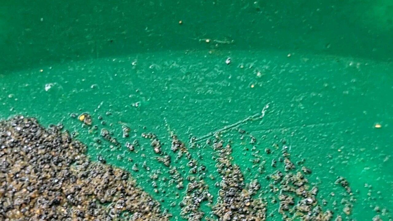 Gold Prospecting North Creeks for my health