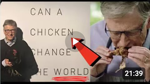 CAN A CHICKEN CHANGE THE WORLD? | THEY'RE MAKING SURE THAT THERE IS NO ESCAPE FOR ANY OF US!