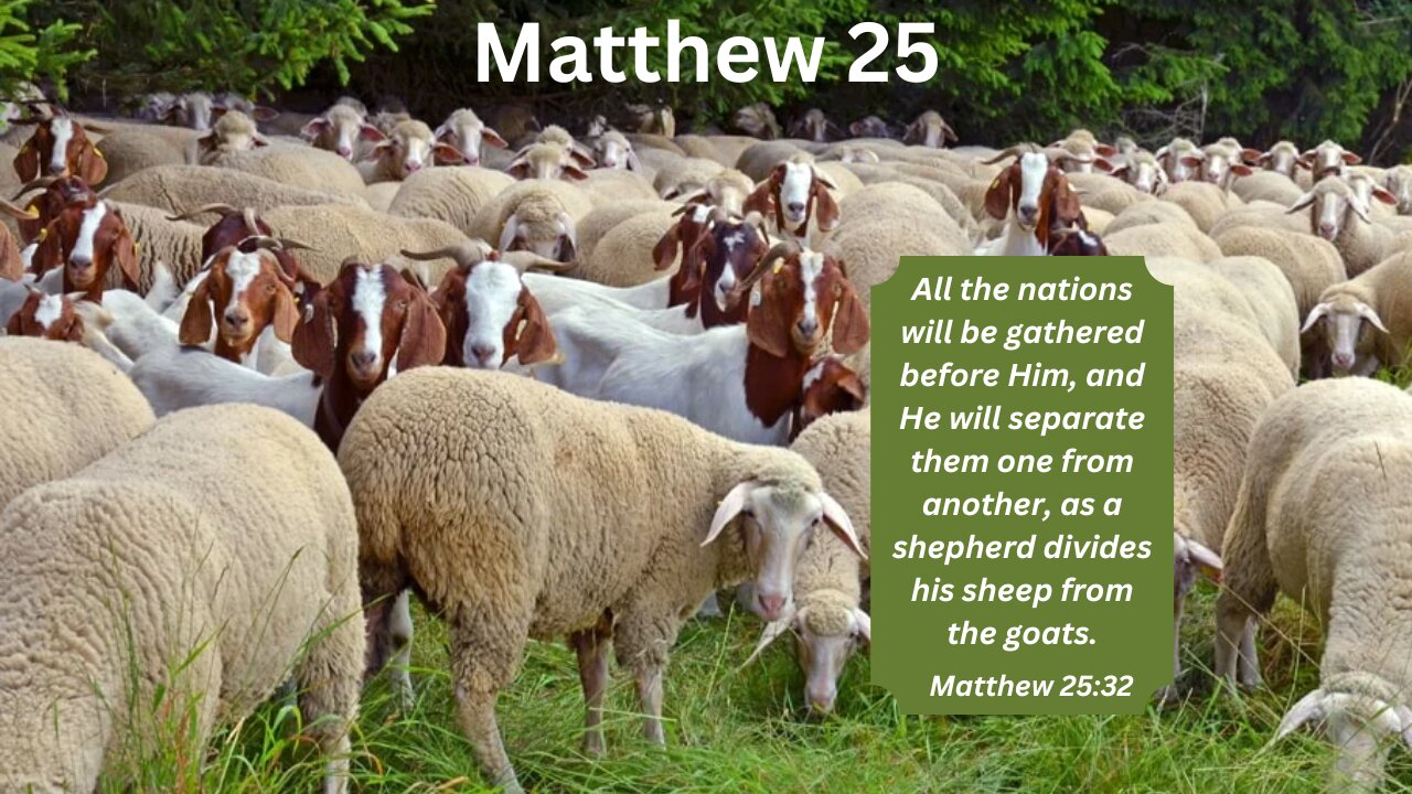 Matthew 25 : Fools Suffer - So Don't Be Foolish