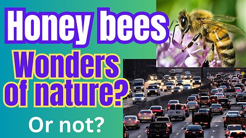 Bees mimic humans... or do we mimic them?