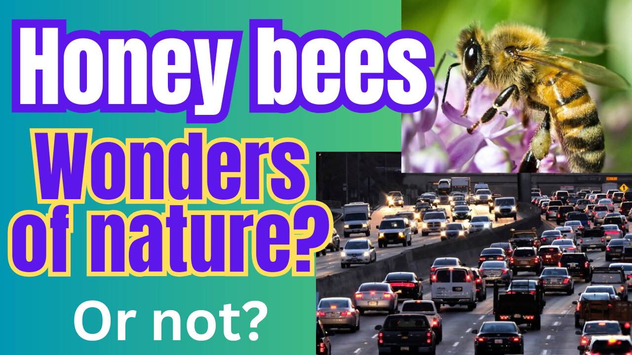 Bees mimic humans... or do we mimic them?