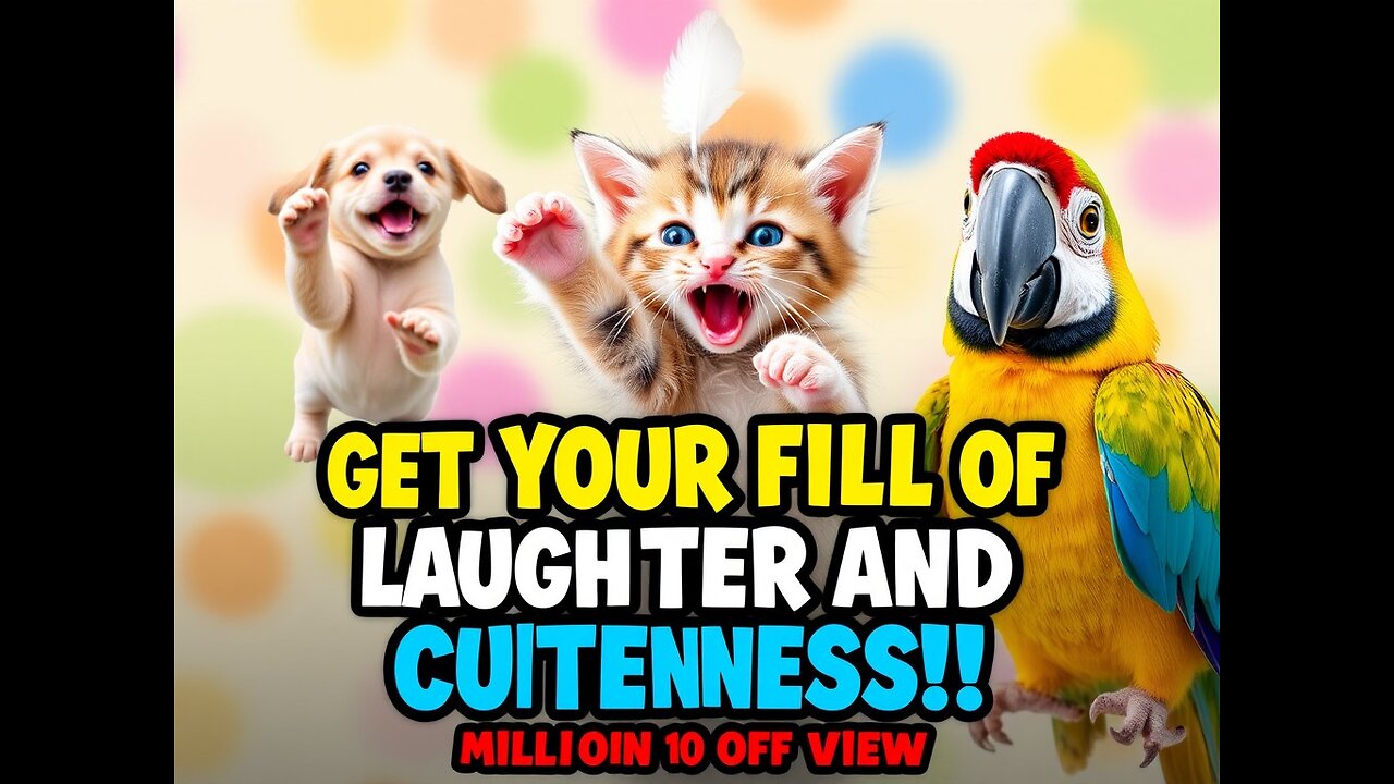 Get your fill of laughter and cuteness with these funny and adorable animals in action!