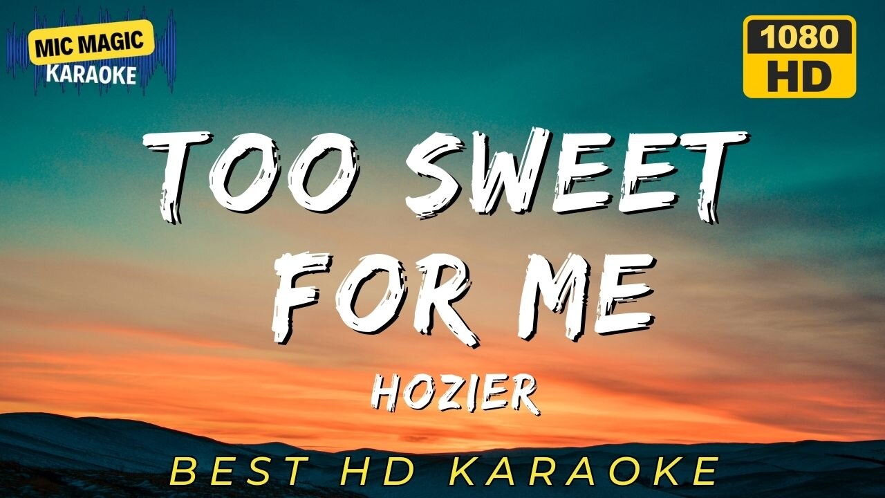 TOO SWEET FOR ME - HOZIER - BEST HD KARAOKE