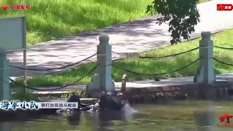 China showing off their military drones disguised as birds.