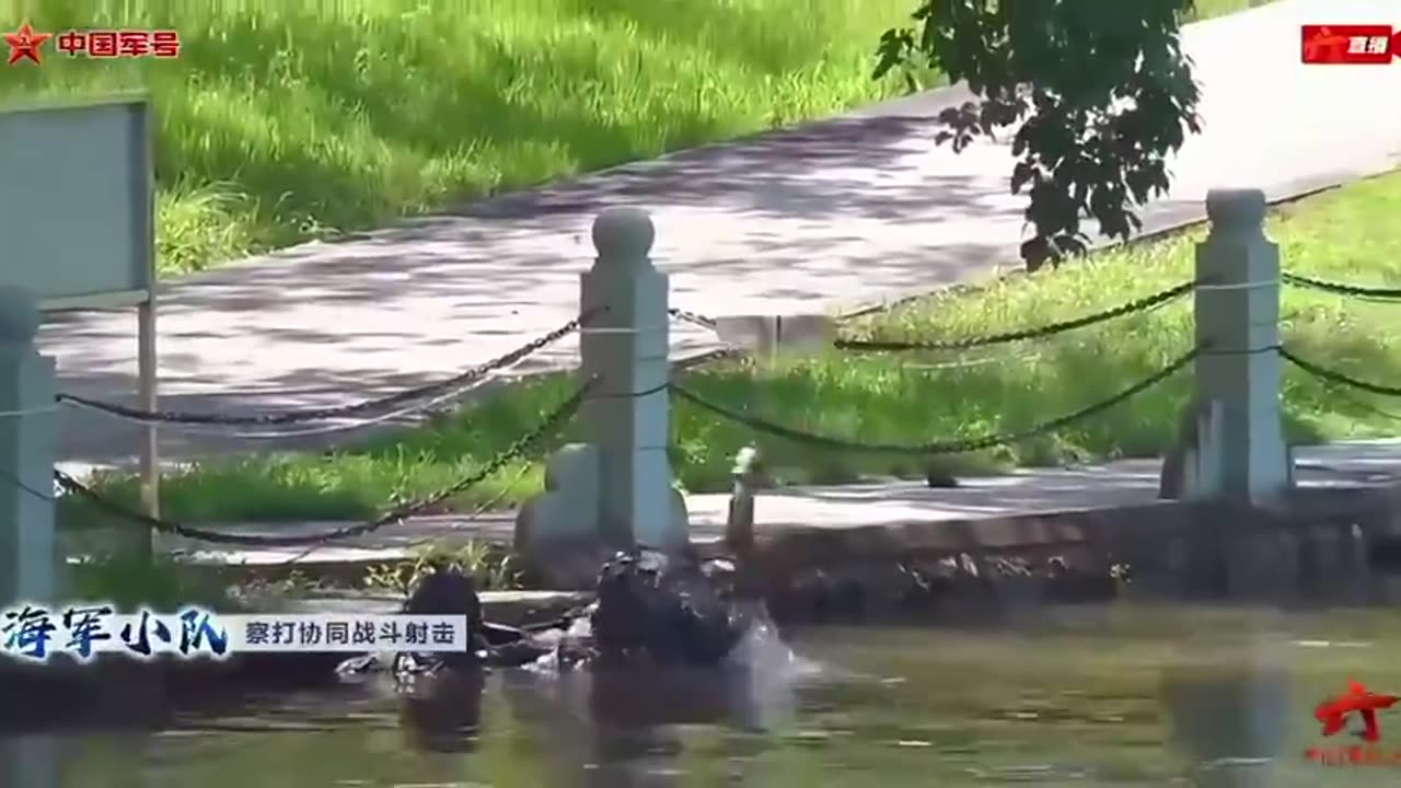 China showing off their military drones disguised as birds.