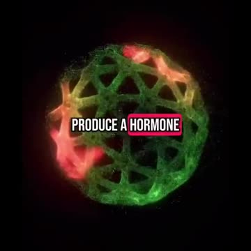 Change Your Reality in 3 Minutes ✨