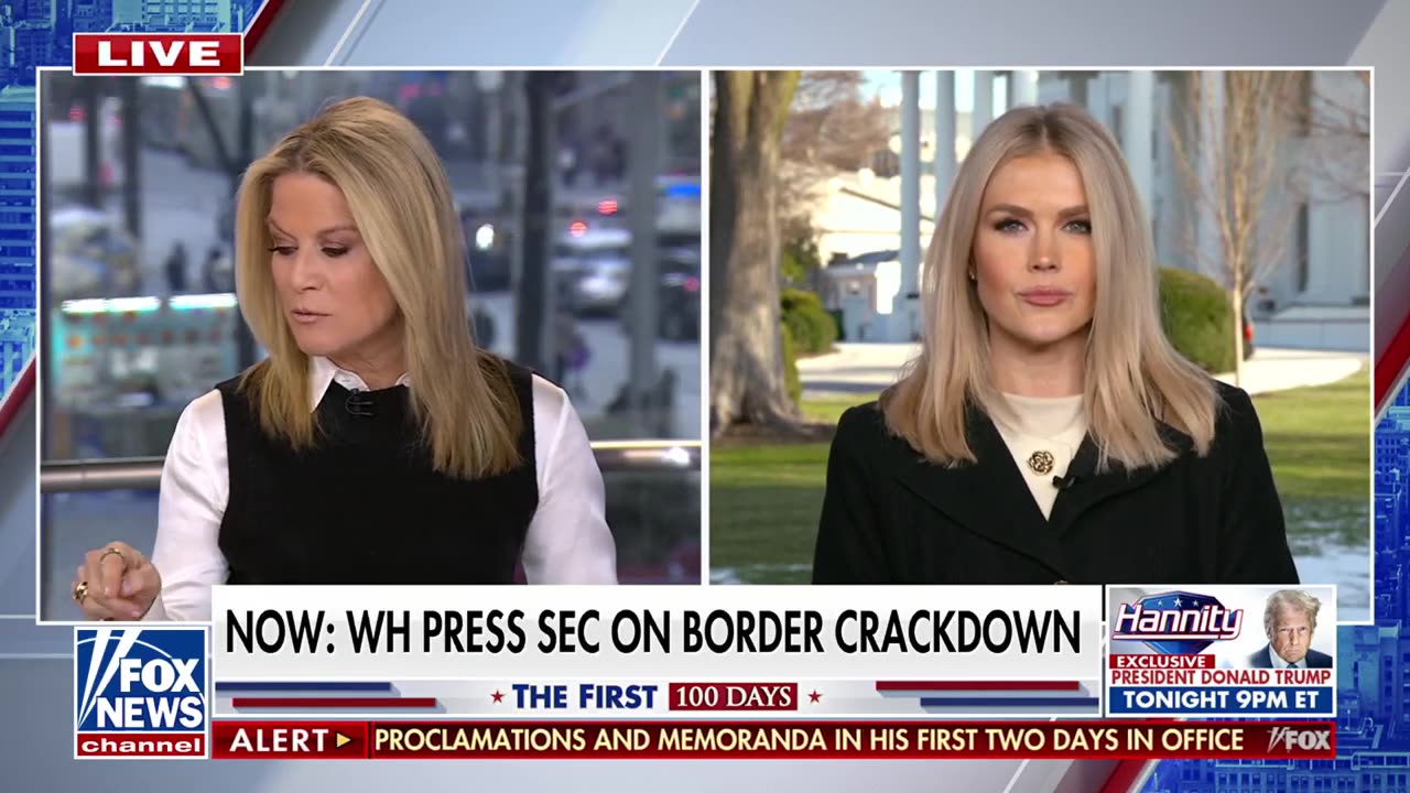 Karoline Leavitt: Trump will take any action necessary to secure the border