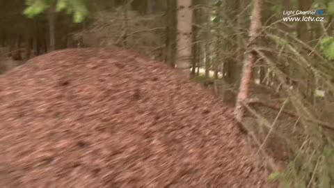 Viděli jsme, slyšeli jsme s přírodou (3. díl)