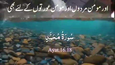 Beshak 💯♥️✨🕊️