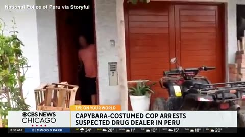 Peruvian Officer Drug-Dealer Dressed as Capybara