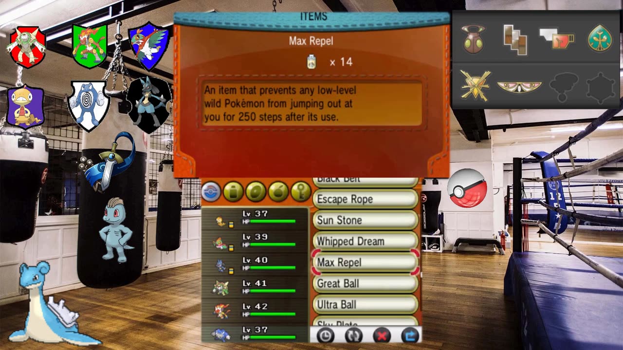Pokémon Y Specializing in Fighting Type Pokémon Playthrough 8.23