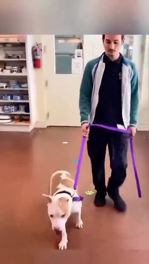 What could be more wonderful ...