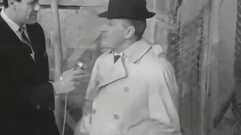 Se stai pensando di prendere un cane per natale, non acquistarlo, adottalo da un canile.