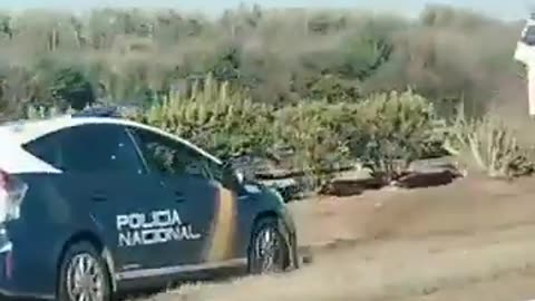 🔥🔥🔥La Policía intercepta en Mérida un tráiler que transportaba 500 kilos de marihuana🔥🔥🔥