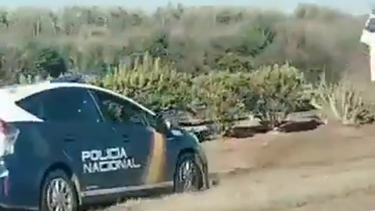 🔥🔥🔥La Policía intercepta en Mérida un tráiler que transportaba 500 kilos de marihuana🔥🔥🔥