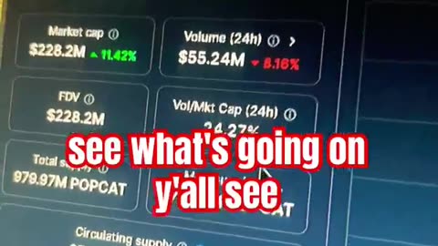 popcat crypto coin price prediction news today bull run #fyp