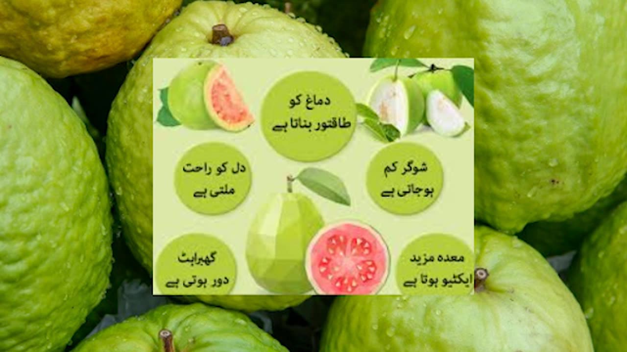 Guava