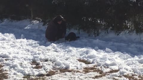 Snow Mountain & Critter Play