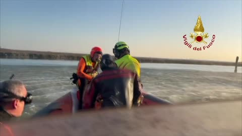 VENEZIA - INCIDENTE NAUTICO IN LAGUNA (08.03.25)