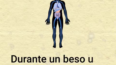 ULTIMOS DESCUBRIMIENTOS DEL CUERPO HUMANO