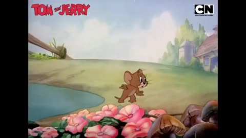 Tom & Jerry -funny clips14