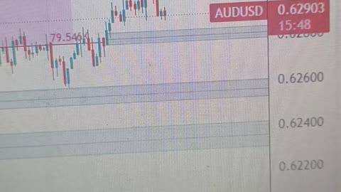 Australian Dollar holds losses as US Dollar maintains position ahead of US CPI