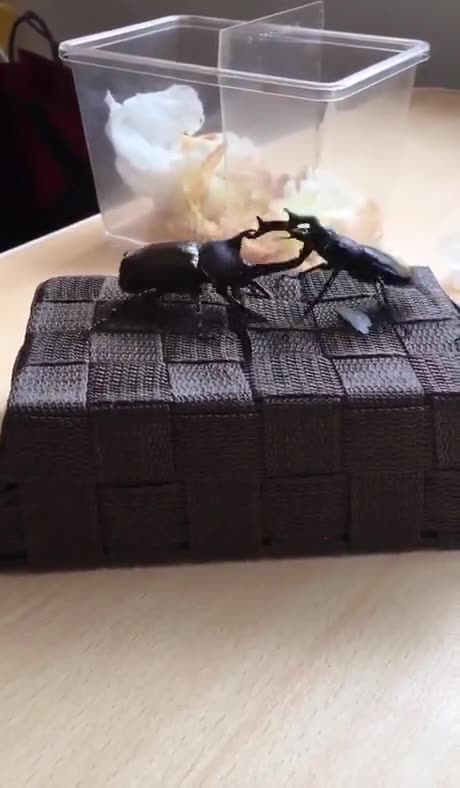 AAAAAAIIIIIIIIIEEEEEEEE