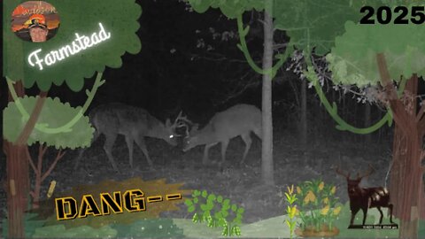 Trail Cam 4 Move it Keep it Viewers decide White Tail Bucks Sparing