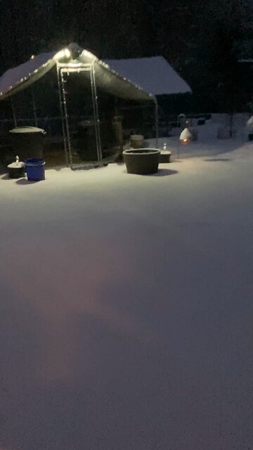 Closing the coop in the snow