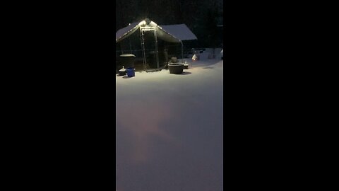 Closing the coop in the snow