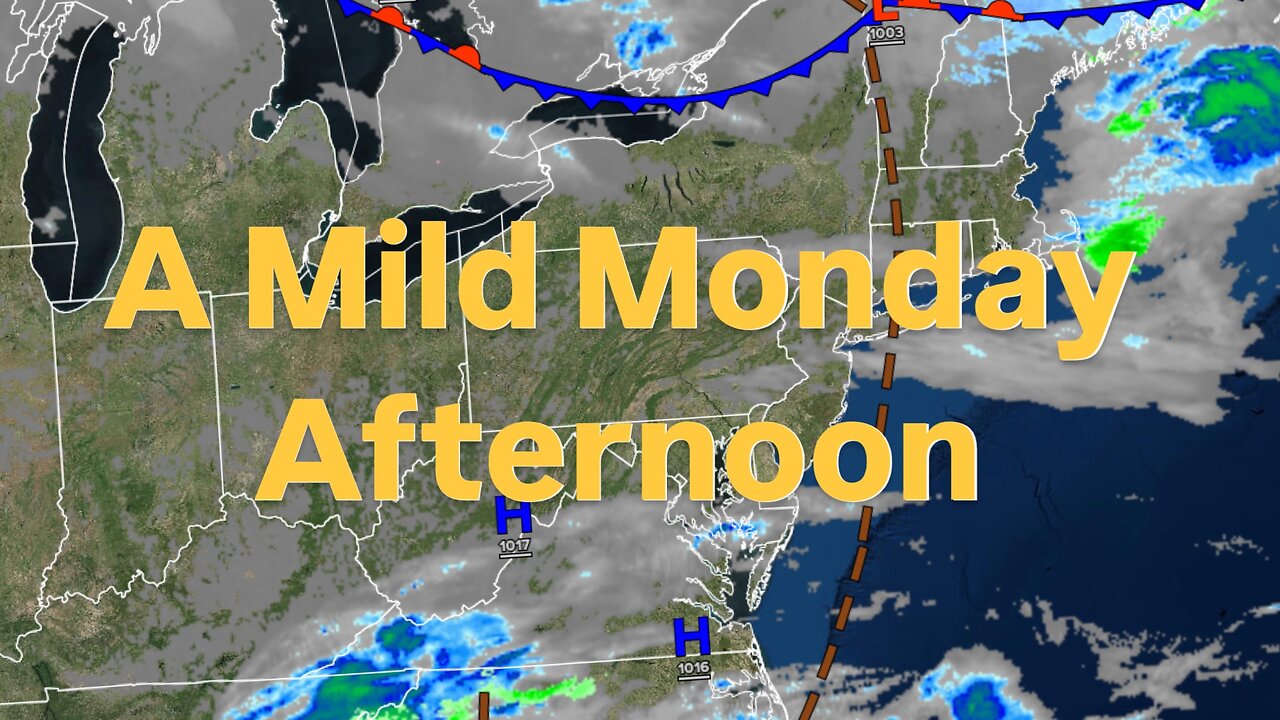 A Mild Monday Afternoon