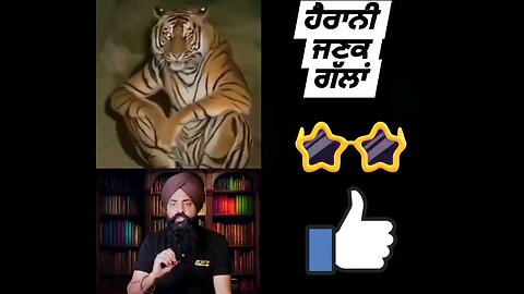 ਜਾਨਵਰਾਂ ਬਾਰੇ ਹੈਰਾਨੀਜਨਕ ਗੱਲਾਂ