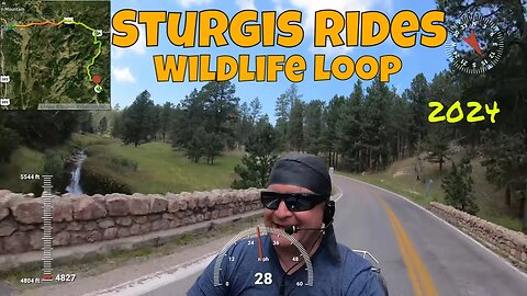 Sturgis Rides Wildlife Loop Road during the Sturgis Motorcycle Rally