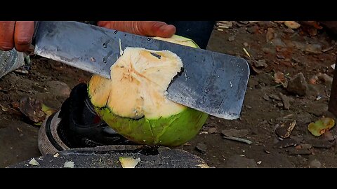 Coconut cutting || 8k nature videos 🌴🥥 #Nature #Video #Coconut #8K