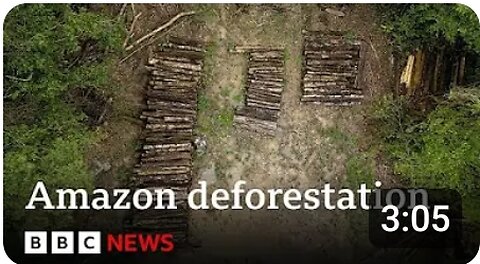 Amazon Rainforest Destroyed for Climate Summit Road | Shocking Irony!