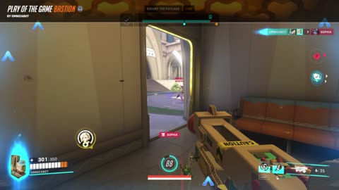 Overwatch 2 Bastion POTG - Sneak Level 100