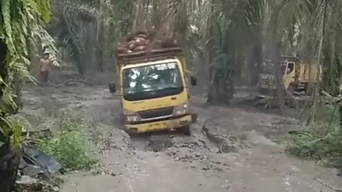 The truck driver went berserk due to the extreme road