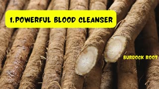 BURDOCK ROOT - 3 OF ITS MANY USES - DR SEBI APPROVED HERB