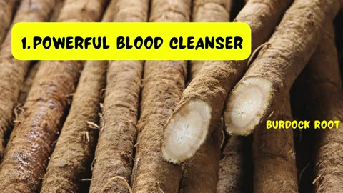 BURDOCK ROOT - 3 OF ITS MANY USES - DR SEBI APPROVED HERB