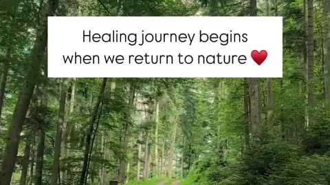 Healing Begins When We Return to Nature 🍃✨