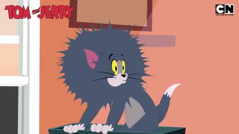 Funny Tom _ Jerry _ A Magical Twist to the Cat