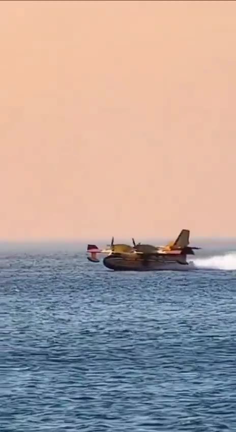 AND they were going over our house that first terrible day in 80 mph winds!!!