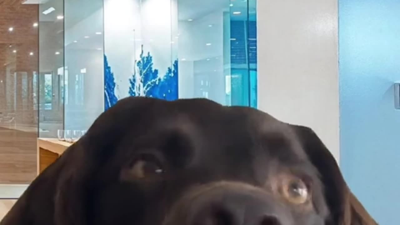 When the 2 coworkers at work that don't like each other finally go at it