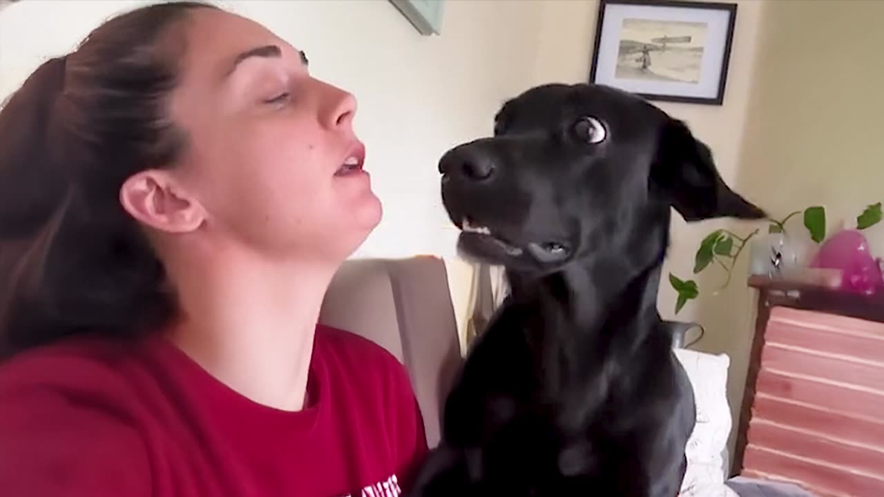 When Your Dog Is The Funniest One In The Whole Family
