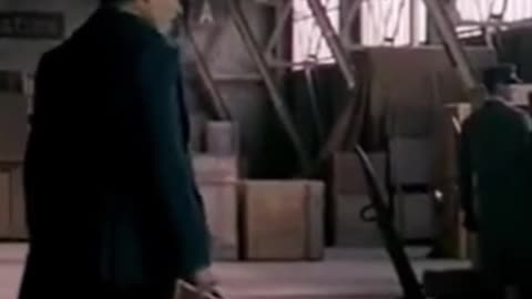What If Michael Bay Directed Fantastic Beasts & Where To Find Them