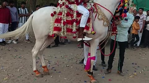 🎠🏇🇮🇳HORSE DANCE IN INDIA #HORSHADANS#ENIMALSDANSH#HORSH RIGHT