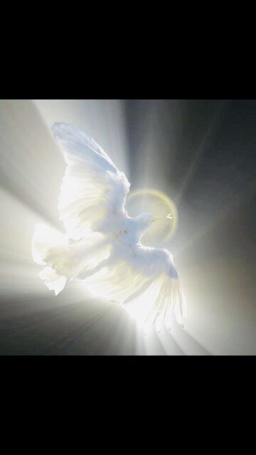 MAHA Moment | Headaches Migraines | Relief Is Here