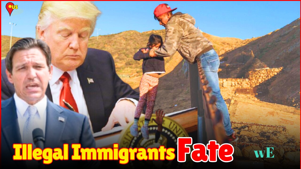 Florida’s Latest Immigration Laws: Harsher Penalties & No Judicial Discretion in Capital - WorldEye