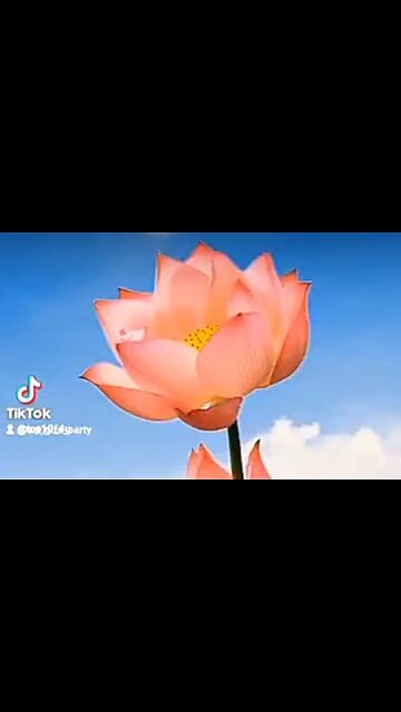 A POWERFUL LOVE - DAILY DEVOTIONAL ❤️