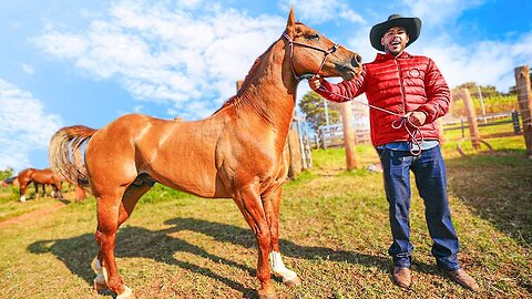 ESSE É MEU CAVALO NOVO!